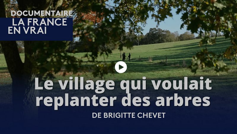 Le village qui voulait replanter des arbres