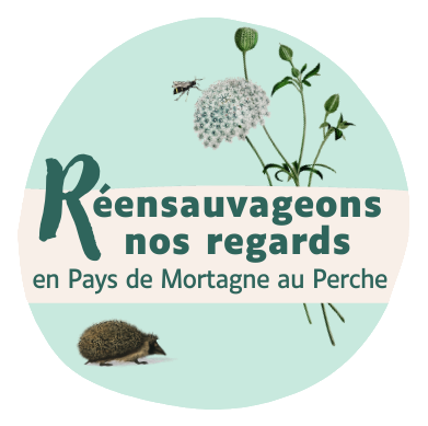 Logo Réensauvageons nos regards