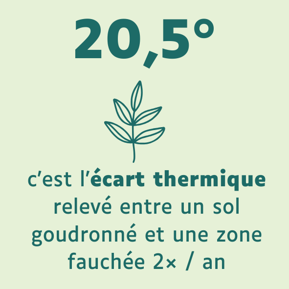 20,5 ° d'écart entre goudron et prairie