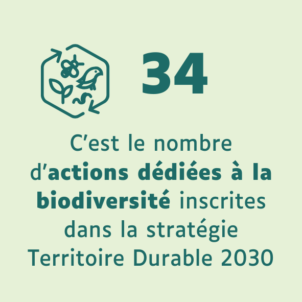 Actions biodiversité TD 2030