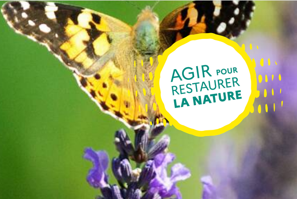 consertation agir pour restaurer la nature