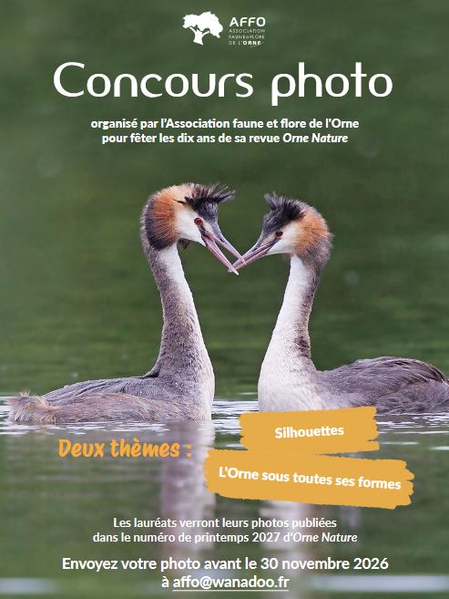 Concours photo AFFO