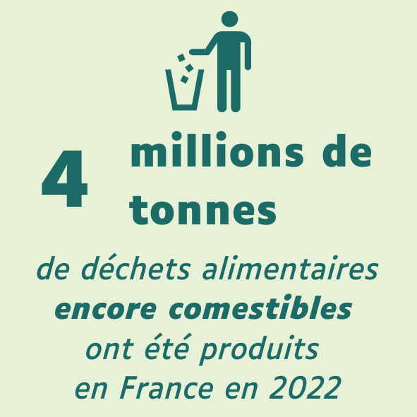 4 millions de tonnes de déchets alimentaires générés en 2022 en France
