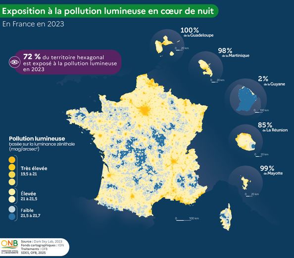 Infographie pollution mumineuse