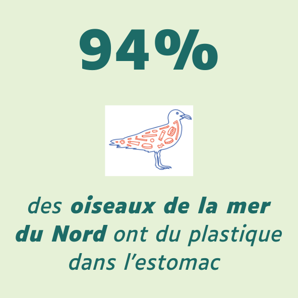 Text alternatif