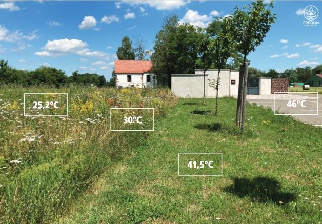 Relévés thermiques Fredon